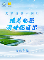 手机免费播放