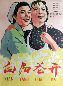 蓝光原盘在线观看