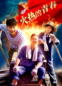 DVD高清完整版