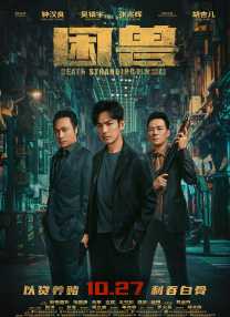 清晰在线播放观看